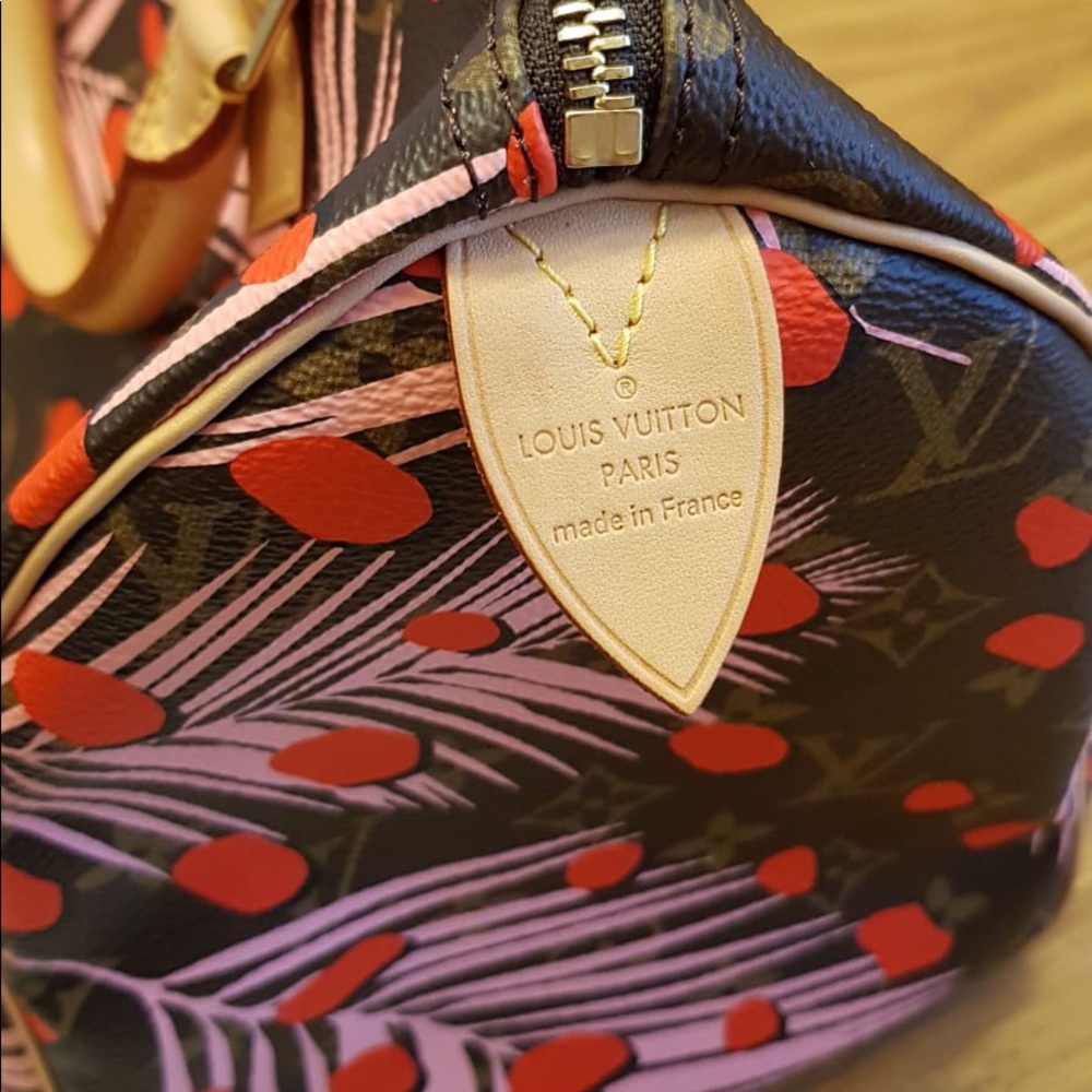 Louis Vuitton limited edition Stunning jungle dots speedy 30 - Picture 3 of 8